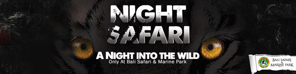 night-safari-bali